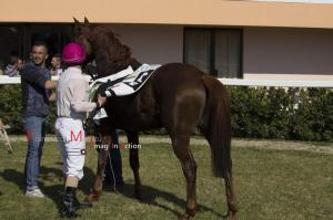 Galoppo_Chilivani_2017_ (43)